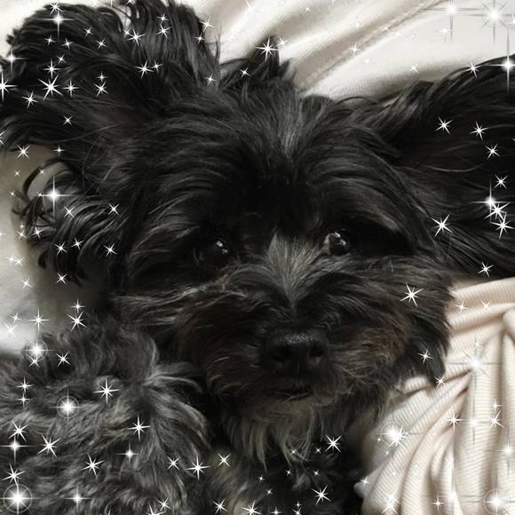 darklee